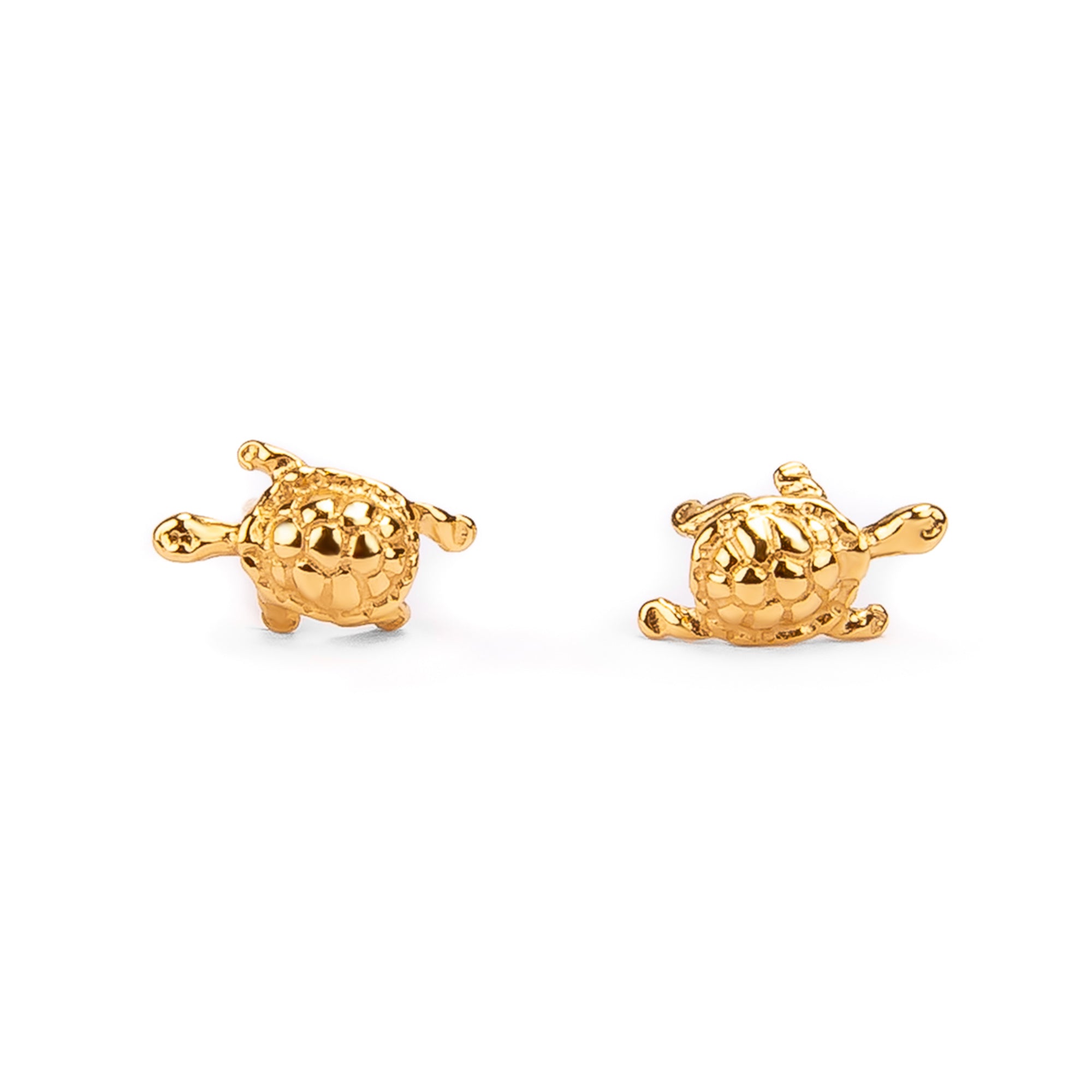 Tortoise sale earrings studs