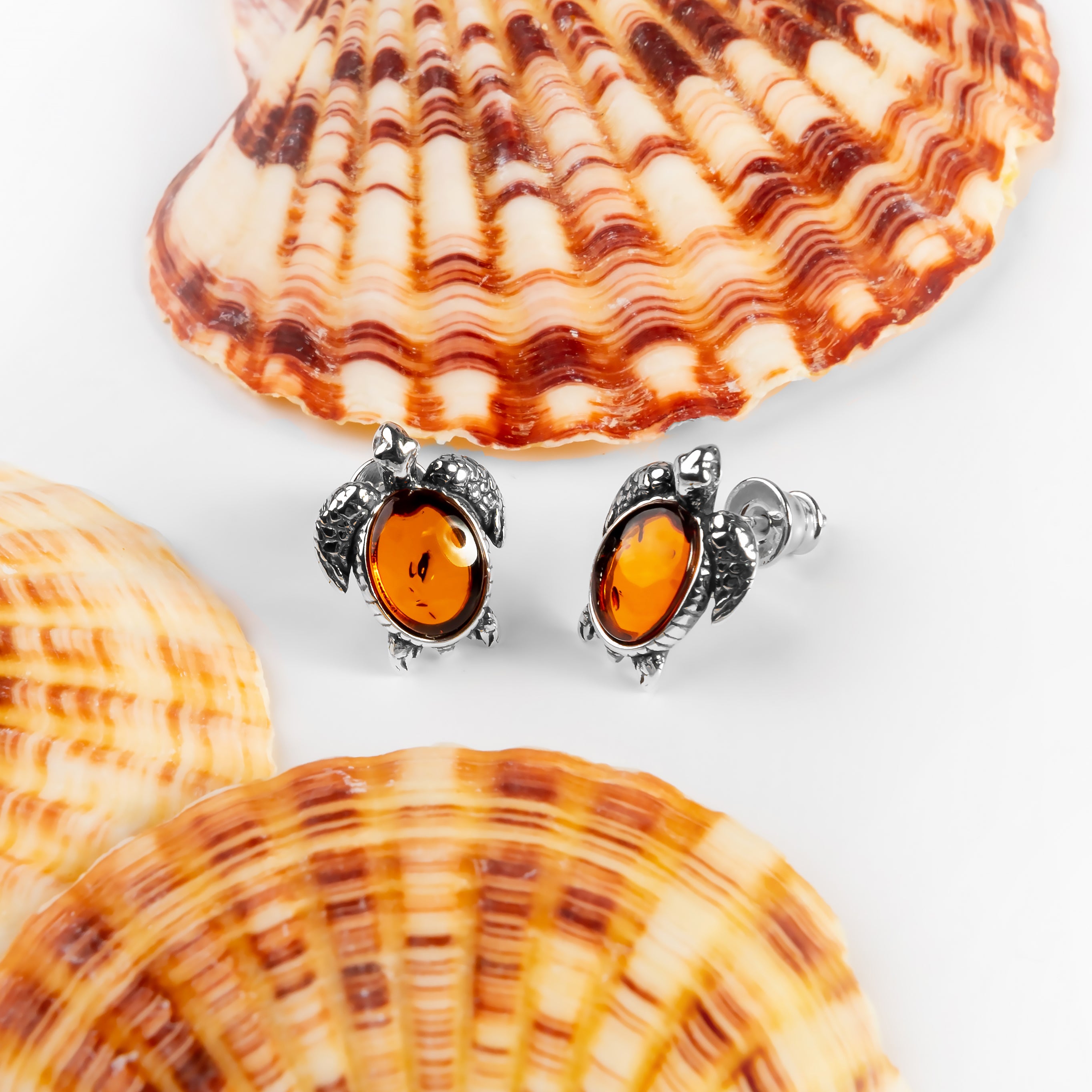 Turtle on sale shell earrings